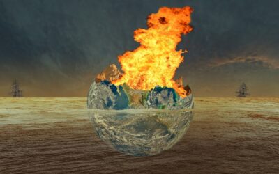 Action and Reaction : The maritime industry must move beyond risk management to seize opportunities in the shifting global order.